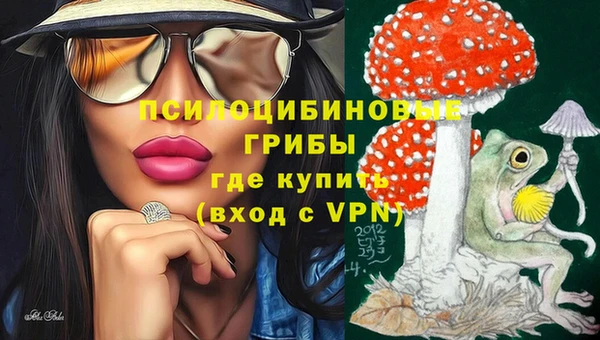 бутират Баксан