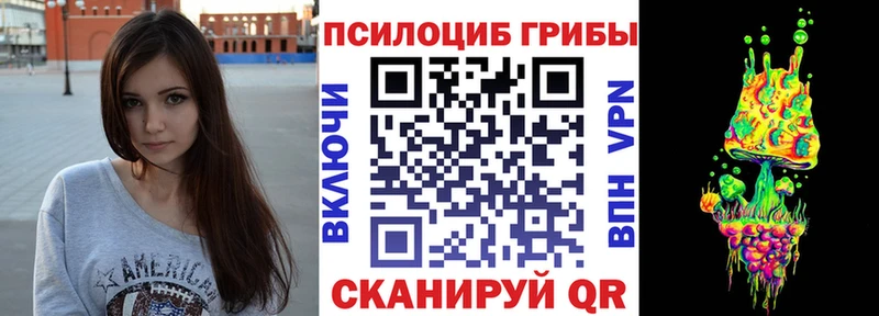 Купить закладки  Константиновск  Галлюциногенные грибы мухоморы 